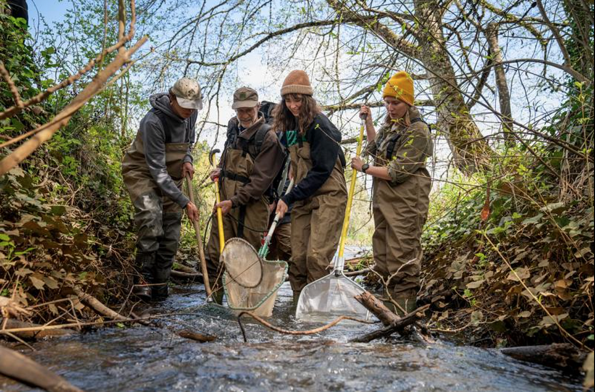 Millrace Restoration Work