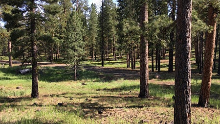 lakeviewcounty