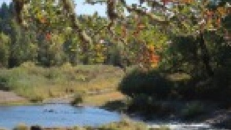 coastfork