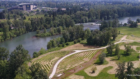 riverbanklab