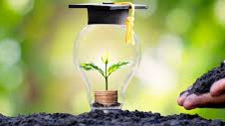 A plant grows inside a lightbulb adorned with a graduation cap