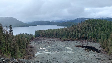 A landslide has torn through an Alaska forest, causing damage to the natural environment. 