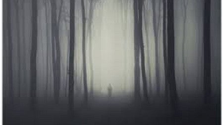 A figure can barely be made out as they are shrouded by fog hanging between the tall trees surrounding them