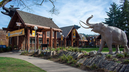 Museum of Natural and Cultural History at the University of Oregon