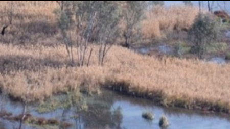 Wetlands