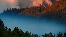 airpollution