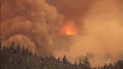 Thick wildfire smoke consumes an Oregon forest. 