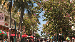 a busy city street lined with colorful umbrellas and palm trees