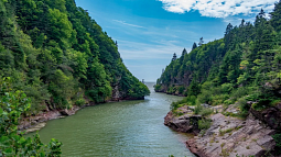 A green river rolls between forested hills as it spills into the ocean