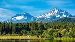 A beautiful mountainscape looms behind a sea of trees and a lush field in Sisters, Oregon