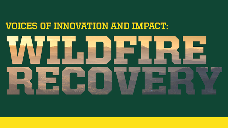 Wildfire Recovery