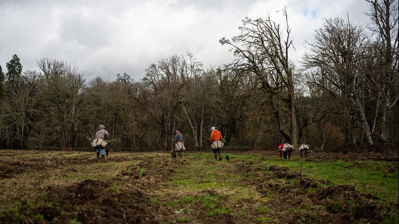 planting crew at EWEB site in Thurston