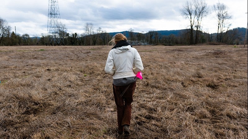 SPA Lab planting site in Thurston with researcher walking