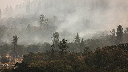 Smoke chokes a forest landscape in Eagle Point, Oregon