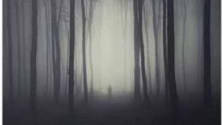 A figure can barely be made out as they are shrouded by fog hanging between the tall trees surrounding them