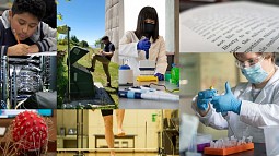 Research and innovation collage