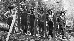 Timber workers with the Madera Sugar Pine Company pose for a photo in Madera County, California in 1914.
