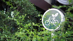A green bike sign pokes up between greenery