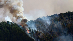 A wildfire burns on a forested mountainside, producing thick clouds of smoke. 